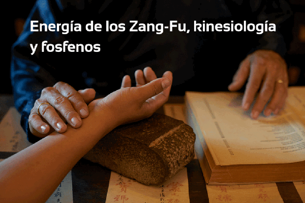 Enería de los Zang-Fu y fosfenos